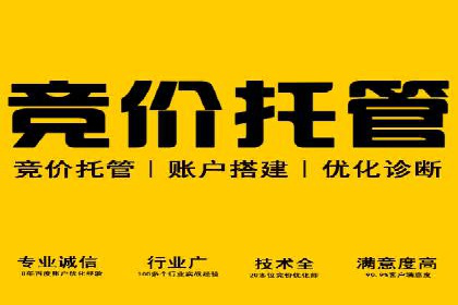 竞价开户案例揭秘：如何实现精准投放